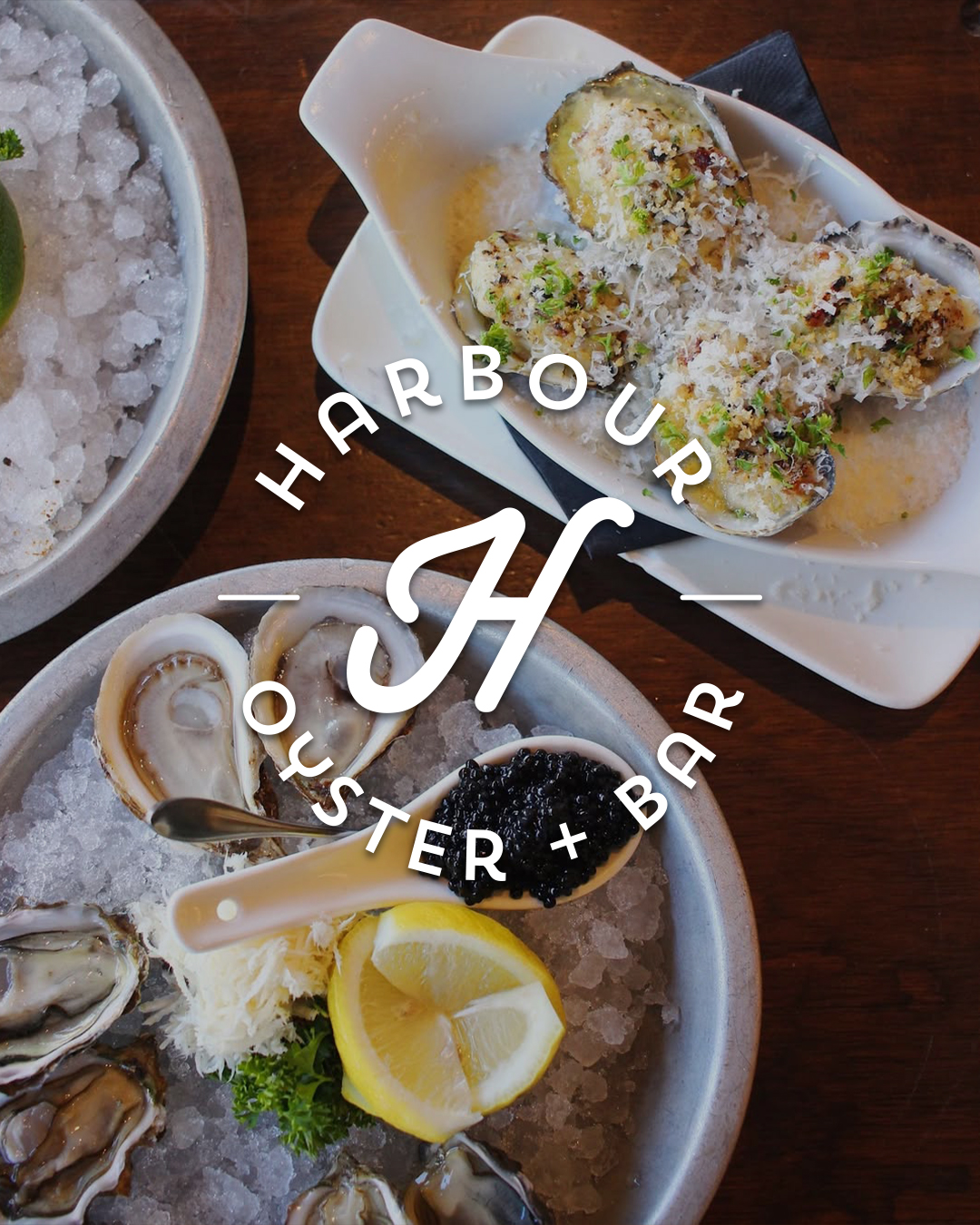 Harbour Oyster + Bar